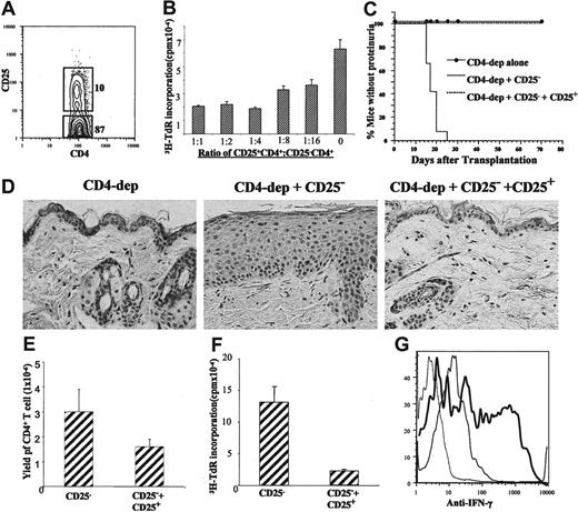 Figure 5. Natural CD25+CD4+ regulatory T cells prevented chronic GVHD. (A) DBA/2 spleen cells were stained with anti-TCRαβ, CD4, and CD25 and then CD4+TCRαβ+ cells were sorted into CD25+ and CD25-CD4+ T cells. (B) CD25-CD4+T cells (0.1 × 106) were stimulated with anti-CD3 mAb and cocultured with titrated numbers of CD25+CD4+ T cells for 72 hours; the proliferation of CD25-CD4+ T cells was measured by 3H-TdR incorporation. Mean ± SE of triplicate culture, and one representative of 3 replicate experiments are shown. (C) Sublethally irradiated BALB/c mice were injected with CD4+ T-cell-depleted DBA/2 spleen cells (CD4-dep alone; 100 × 106), CD4-dep plus CD25-CD4+ T cells (CD25-; 5 × 106), and CD4-dep plus CD25- and CD25+CD4+ T cells (CD25+; 2.5 × 106). The development of proteinuria and hair loss in the 3 groups were compared. There were 12 mice in each group. (D) HE staining of skin tissue sections of the recipients given CD4-dep cells, CD4-dep plus CD25-CD4+ T cells, or CD4-dep plus CD25- and CD25+ CD4+ T cells 30 days after cell injection. One representative is shown of 4 examined recipients in each group. (E) Seven days after cell injection, yield of donor CD4+ T cells from the spleens of recipients given donor CD25-CD4+ T cells and recipients given both CD25- and CD25+ CD4+ T cells was measured. Mean ± SE of 4 recipients in each group is shown. (F) Sorted donor CD4+ T cells (0.3 × 106/well) from recipient in panel E were cultured in vitro for 5 days without additional stimulation. T-cell proliferation was measured with 3H-TdR incorporation. Mean ± SE of 4 examined recipients in each group is shown. (G) Intracellular staining of IFN-γ in CD4+ T cells from the spleens of recipients injected with CD25-CD4+ T cells (bold solid line) or from the recipients injected with both CD25- and CD25+ CD4+ T cells (thin solid line) 7 days after cell injection. The isotype control staining was shown as thin dashed line. One representative is shown of 4 examined recipients in each group.
