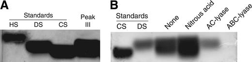 Figure 2. Agarose gel analysis of Mono Q peak III. (A) Samples of GAG standards (15 μg/well) or desalted Mono Q peak III (50 μg/well) were electrophoresed on a 0.5% agarose gel for 1 hour. Subsequently, the gel was stained with 0.1% toluidine blue. (B) Material from peak III was treated sequentially with nitrous acid, chondroitin AC II–lyase, and chondroitin ABC–lyase. A sample from each step was subjected to electrophoresis. HS indicates heparan sulfate; DS, dermatan sulfate; and CS, chondroitin 6-sulfate.
