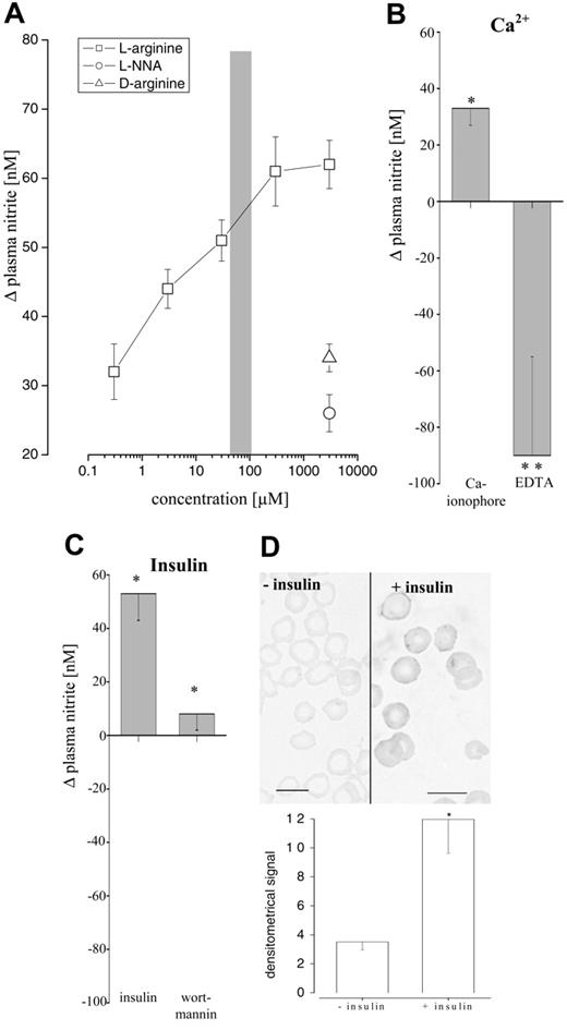 Figure 5. Regulation of RBC eNOS activity. eNOS activity in RBCs was measured depending on the availability of substrate (A) and calcium (B) and the level of phosphorylation of eNOS protein (C-D). (A) Changes in accumulated plasma nitrite were determined in blood samples after incubation with increasing concentrations of l-arginine, d-arginine, and l-NNA. Changes were compared with total depletion of l-arginine (achieved by arginase). indicates physiologic range of l-arginine concentration in human plasma. (B) Effects of Ca-Ionophore or Ca-Ionophore plus EDTA (n = 6) on plasma nitrite levels were determined after incubation of blood samples and compared with control (buffer). Changes in plasma nitrite reflect the sum of the release (due to NOS-dependent NO formation) and the reuptake of nitrite by RBCs. Thus complete inhibition of RBC-NOS by EDTA significantly reduced plasma nitrite compared with control buffer, unmasking the continuous uptake of plasma nitrite by RBCs during incubation period. (C) Challenging RBCs with insulin increased plasma nitrite whereas addition of the PI3K inhibitor wortmannin prevented this increase (n = 6). * indicates significant (P < .05) difference; and **, highly significant (P < .001) differences from control. (D) Phosphorylation of eNOS at Ser1177 was used to examine the phosphorylation-dependent activation status of the eNOS. RBCs incubated with insulin showed a significant rise of eNOS phosphorylated at Ser1177 compared with control (P < .05; n = 8). Bars, 10 μm.
