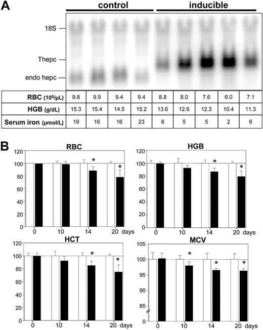 Figure 2. Long-term induction of transgenic hepcidin. (A) Liver hepcidin mRNA levels. Control mice and inducible mice (ie, double transgenic mice harboring both tetO-Hepc1 and rTALAP-1 transgenes) were given doxycycline in their drinking water for 3 weeks. Total liver RNA (20 μg) was fractionated by electrophoresis, blotted, and hybridized with hepcidin and 18S-labeled probes. Values for RBC count, hemoglobin (HGB) level, and serum iron level are shown for each animal. Thepc indicates transgenic hepcidin mRNA; endo hepc, endogenous hepcidin mRNA. (B) Hematologic indices of mice treated for 10, 14, or 20 days with doxycycline. Results are expressed relative to control serum parameters (arbitrarily 100 ± standard deviation). Control animals, □; inducible mice, ▪. Statistical analysis was performed using Student t test (unpaired, 2 tailed): *P < .05, n = at least 5 animals. RBC indicates red blood cell count (106/μL); HGB, hemoglobin (g/dL); HCT, hematocrit (%); MCV, mean cell volume (fl).