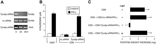 Figure 2. Silencing of the gene coding for DAP12 induces the appearance of an IDO-dependent, tolerogenic phenotype in CD8- DCs in response to IFN-γ. (A) RT-PCR analysis of Tyrobp expression in CD8- DCs treated with Tyrobp-specific siRNA. Control cells were treated with negative control (nc) siRNA. The expression of the Hcst gene, coding for DAP10, was also assayed as a specificity control. (B) Functional IDO activity was measured in terms of kynurenine levels by means of HPLC in supernatants of CD8+ or CD8- DCs treated overnight with IFN-γ. The CD8- DC fraction was used after Tyrobp gene silencing with specific siRNA or treatment with nc siRNA. Results (mean ± SD) are from 1 of 3 representative experiments. (C) Untreated CD8- DCs alone or in combination with 5% treated CD8- DCs (treatment consisting of nc or Tyrobp siRNA for 24 hours followed by IFN-γ for an additional 18 hours) were pulsed with NRP-A7 and transferred to recipient mice to be assayed for skin test reactivity to the eliciting peptide. Experimental groups included the use of cells treated with 2 μM 1-MT. *P < .001, experimental versus control footpads. Results are from 1 of 3 representative experiments.