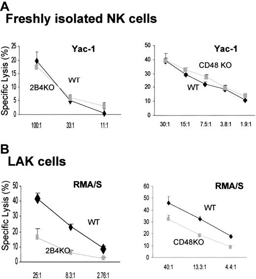 Figure 3. LAK cells generated from 2B4- or CD48-KO mice showed reduced cytotoxicity, but their spontaneous NK cytotoxicity is intact when analyzed ex vivo. (A) Ex vivo analysis of NK cytotoxicity from WT, 2B4-KO, or CD48-KO mice; enriched NK cells using negative depletion (left, WT and 2B4-KO) or positive selection of DX5+CD3– (right, WT and CD48-KO) were used for 4-hour 51Cr release assay using Yac-1 targets. Yac-1 targets were used for ex vivo analysis because resting NK cells did not lyse RMA/S cells. (B) NK cells were enriched from WT, 2B4-KO, or CD48-KO mice using negative depletion and cultured in 5000 U/mL h-rIL-2 for 6 days prior to the 4-hour 51Cr release assay using RMA/S targets. Data are shown as mean ± SD and are representative of data from 4 independent experiments.
