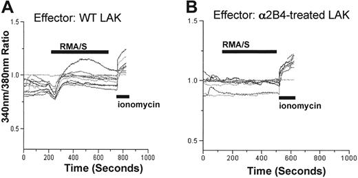Figure 6. Intracellular calcium mobilization was defective in the absence of homotypic 2B4/CD48 interaction. WT LAK cells generated in the absence or presence of a2B4 mAbs were loaded with Fura-2, and intracellular calcium concentration was monitored as described in “Materials and methods.” The calcium concentration was depicted as the emission ratio of 380:340 nm. RMA/S cells (2 × 106) were added at the time indicated, and 4 μM ionomycin was added at the end of the experiments to ensure that the cells are viable. (A) Thirteen of 20 cells in a field induced elevation of intracellular calcium and are presented in the figure. (B) Thirteen of 20 cells were depicted in the figure. None of the cells in a2B4-treated group showed elevation of intracellular calcium.
