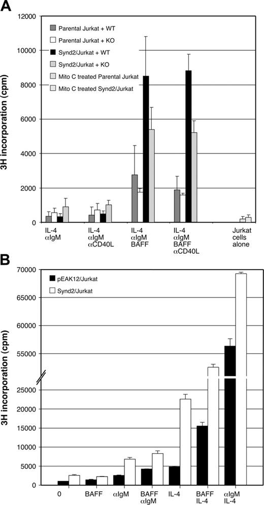 Figure 7. Syndecan-2 induces proliferation of B cells. (A) B220+ B cells from either wild-type (WT) or TACI knockout mice (KO) were cocultured with mitomycin C-treated Jurkat and Synd2/Jurkat cells at a ratio of 1:3 (105:3 × 105). Coculture conditions included 10 ng/mL IL-4, 1 μg/mL anti-IgM F(ab′)2, 100 ng/mL BAFF, 1 μg/mL anti-CD40L, alone or in combination. Cells were incubated for 5 days, at which time cultures were pulsed with 1 μCi (0.037 MBq) 3H-TdR for 18 hours before harvesting. Stimulation of both WT and TACI-KO B cells with IL-4 and αIgM with or without αCD40L, together with either parental Jurkat or Synd2/Jurkat cells, resulted in minimal proliferation. With the addition of BAFF, B-cell growth conditions became more optimal, and a significant increase in proliferation of WT B cells was seen in response to Synd2/Jurkat. TACI-KO B cells also proliferated at a higher rate in response to Synd2/Jurkat cells but considerably less than did WT B cells. Parental Jurkat and Synd2/Jurkat cells showed minimal proliferation after mitomycin C treatment (far right). (B) CD19+ cells from human donors were cocultured with irradiated pEAK12/Jurkat or Synd2/Jurkat cells. Coculture was performed in the presence of 100 ng/mL BAFF, 2 μg/mL anti-IgM F(ab′)2, 100 ng/mL IL-4, alone or in combination. Cells were pulsed with tritiated thymidine as in Panel A. In the absence of stimulation, or presence of BAFF, αIgM, or BAFF plus αIgM, B-cell growth is minimal in response to both pEAK12/Jurkat and Synd2/Jurkat cells. In the presence of IL-4, BAFF plus IL-4, or αIgM plus IL-4, B-cell growth increased significantly, particularly in response to Synd2/Jurkat cells.