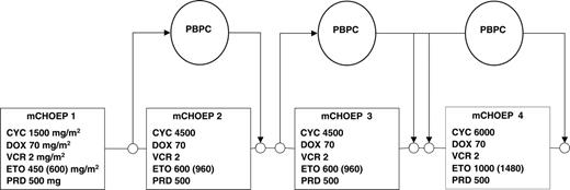 Figure 1. MegaCHOP treatment protocol. Cumulative doses per course were given. Dose of etoposide at DL2 is set in brackets; all other drugs were given at identical doses at DL1 and DL2. PBPC indicates peripheral blood progenitor cell; CYC, cyclophosphamide; DOX, doxorubicin; VCR, vincristine; ETO, etoposide; PRD, prednisone.