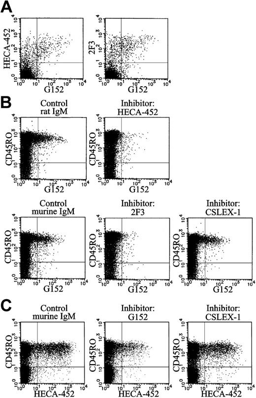 Figure 3. Identification of sialyl 6-sulfo Lex as CLA and variant sialyl Lex. (A) Results of 4-color analyses of normal peripheral blood lymphocytes using HECA-452 or 2F3 with anti-CD4, anti-CD45RO, and G152 antibodies. Two-dimensional distribution of sialyl 6-sulfo Lex (G152) with CLA (HECA-452) or variant sialyl Lex (2F3) on a gated CD4+CD45RO+ cell population was plotted. (B) Inhibition of staining of sialyl 6-sulfo Lex (biotin-G152) by HECA-452 (anti-CLA), 2F3 (anti–variant sialyl Lex), or CSLEX-1 (anti–sialyl Lex) antibody. Results of 4-color analyses using anti-CD3, anti-CD4, anti-CD45RO, and G152 antibodies are shown. Two-dimensional distribution of sialyl 6-sulfo Lex with CD45RO on gated CD3+CD4+ T-cell population was plotted. (C) Inhibition of staining of CLA (HECA-452) by G152 (anti–sialyl 6-sulfo Lex) or CSLEX-1 (anti–sialyl Lex) antibody. Results of 4-color analyses using anti-CD3, anti-CD4, anti-CD45RO, and HECA-452 antibodies. Two-dimensional distribution of CLA with CD45RO on gated CD3+CD4+ T-cell population was plotted.