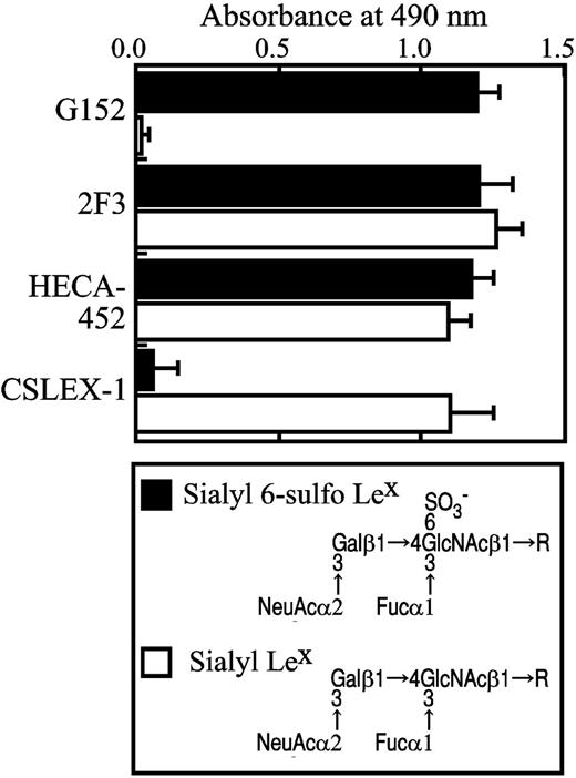 Figure 5. Carbohydrate structure of sialyl 6-sulfo Lex and nonsulfated sialyl Lex and specificity of antibodies as ascertained by ELISA. The specificity of antibodies directed to sialyl 6-sulfo Lex (G152), CLA (HECA-452), variant sialyl Lex (2F3), and conventional sialyl Lex (CSLEX-1) was ascertained by ELISA using pure synthetic carbohydrate determinants.