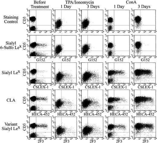 Figure 7. Expression of sialyl 6-sulfo Lex and related determinants on ConA- or TPA-treated human peripheral lymphocytes. Human peripheral lymphocytes were stimulated with 10 ng/mL TPA and 1 μg/mL ionomycin (middle panel) or with 5 μg/mL ConA (right panel) for 1 or 3 days. Each panel indicates 2-dimensional distribution of sialyl 6-sulfo Lex (G152), conventional sialyl Lex (CXLEX-1), CLA (HECA-452), and variant sialyl Lex (2F3) with CD3.
