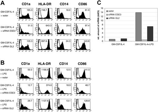 Figure 5. Down-regulation of ESE-3 during DC development leads to an impaired DC phenotype. CD14+ peripheral-blood monocytes were isolated from buffy coat preparations with magnetic beads and transfected with 5 nM siRNA specific for ESE-3 (siRNA ESE3) or firefly luciferase GL2 (siRNA GL2). Mock transfection was carried out with the equivalent amount of water. (A) After 48 hours of culturing the cells in RP10 medium supplemented with GM-CSF and IL-4, the phenotype of the cells was analyzed by FACS staining. Shaded histograms represent staining with the indicated antibody; open histograms, the isotype control. The level of surface expression is indicated as mean fluorescence intensity. (B) LPS was added as a maturation stimulus 24 hours before harvesting the cells. The data shown are representative of 4 independent experiments. (C) Real-time quantitative RT-PCR to analyze the amount of ESE-3 mRNA after siRNA treatment. The amount of mRNA was determined in relation to GAPDH.