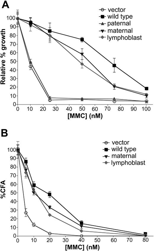 Figure 2. MMC survival curves of cells highly expressing different FANCA alleles. (A) Relative percent cell growth, as measured by percent fluorescence relative to 0 nM MMC. (B) Percent colony-forming ability. Maternal and lymphoblast alleles both generated intermediate phenotypes in both assays. Error bars indicate standard error of the mean (SEM).
