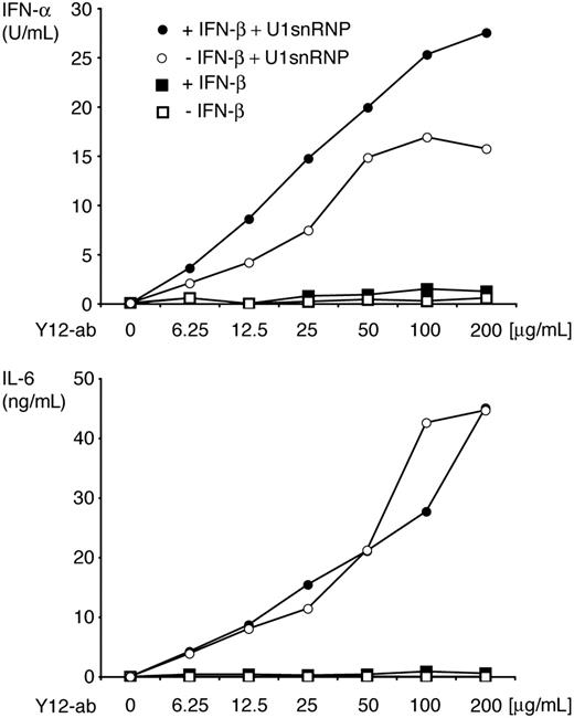 Figure 2. IFN-α and IL-6 production in response to U1snRNP/anti–Sm complexes. ICs formed with U1snRNP (20 μg/mL final concentration) and Y12-antibody or Y12-antibody alone (final concentration, 6.25-200 μg/mL) were added to FL-DCs, which had been cultured in regular medium or pretreated with IFN-β for 18 hours. After 36 hours of incubation, IFN-α and IL-6 were measured in the supernatant by ELISA. Results of 1 of 3 representative independent experiments are shown.