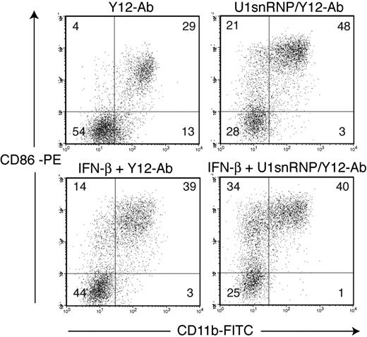 Figure 3. CD86 up-regulation by U1snRNP/anti–Sm complexes in FL-DCs. FL-DCs (untreated or pretreated with IFN-β) were incubated with Y12 antibody (50 μg/mL) alone or in complex with U1snRNP (20 μg/mL) for 40 hours. CD11b and CD86 expression were measured by flow cytometry. Low CD11b expression correlated with high B220 expression (not shown). Percentages are indicated in the quadrants. Results of 1 of 4 representative independent experiments are shown.