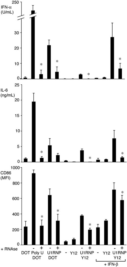 Figure 4. RNase sensitivity of U1snRNP induced FL-DC activation. FL-DCs (untreated or pretreated with IFN-β) were incubated with untreated or RNAse-treated poly-U and U1snRNP (20 μg/mL) in complex with DOTAP (12.5 μg/mL) or Y12 antibody (50 μg/mL). Cytokine production was measured by ELISA, and CD86 expression (expressed as mean fluorescence intensity) was determined by flow cytometry. Mean values and standard deviations (error bars) are shown (n = 3). Asterisks indicate significant differences between conditions with and without RNAse treatment (P < .05; 2-tailed paired Student t test).