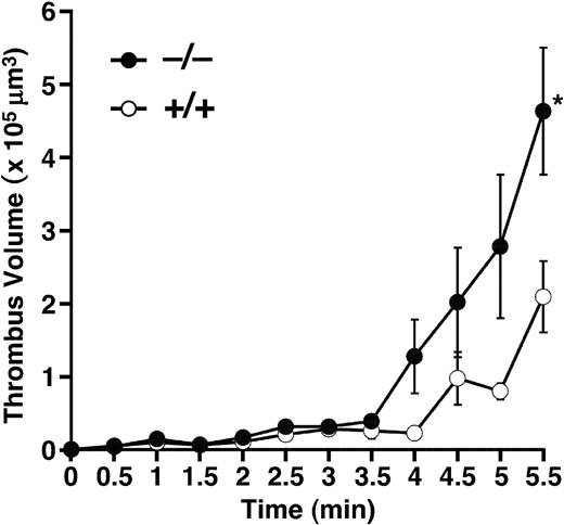 Figure 6. Thrombogenesis on collagen surface under flow. Whole blood from Adamts13+/+ or Adamts13–/– mice containing mepacrine-labeled platelets was perfused over an acid-insoluble type I collagen-coated surface at a wall shear rate of 750 s–1. The cumulative thrombus volume, analyzed using a multidimensional imaging system, was measured every 0.5 minute until 5.5 minutes. Data are the mean ± SEM of 5 mice for each genotype. *Significant differences at P < .05 in comparison with Adamts13+/+ mice.