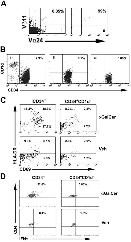 Figure 4. CD34+CD1d+ cells present antigen to NKT cells. (A) Fresh NKT cells from cord-blood samples (i) were purified by flow sorting (ii) after staining with anti–TCR Vα24 and -Vβ11 mAbs. (B) MACS-selected CB CD34+ cells (i) were further flow-sorted into total CD34+ (ii) and CD1d–CD34+ (iii) fractions and cocultured with highly purified fresh NKT cells. (C) Analysis of surface activation markers HLA-DR and CD69 after 24 hours revealed that, in the presence of αGalCer, NKT cells cocultured with total CD34+ cells were highly activated compared with NKT cells cocultured with CD1d–CD34+ cells. In the presence of vehicle, NKT cells cultured either with total CD34+ or CD1d–CD34+ cells showed little evidence of activation. Plots are gated in NKT cells identified by staining with the NKT-cell–specific mAb Vα24Jα18 after dead-cell exclusion with propidium iodide. Data are representative of 2 independent experiments. (D) Activation of NKT cells cocultured with CD34+ or CD34+ CD1d– cells with or without αGalCer as determined by intracellular staining for IFNγ. As with surface activation markers, NKT-cell production of IFNγ was highest when they were cocultured with total CD34+ cells and in the presence of αGalCer. Data are representative of 2 independent experiments.