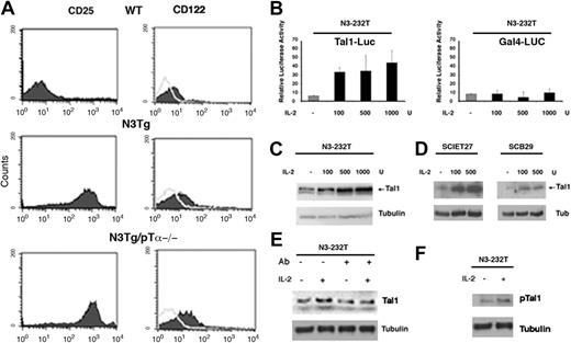 Figure 2. Tal1-sustained expression depends on IL-2/IL-2R pathway. (A) Fluorescence-activated cell sorting (FACS) analysis of CD25 and CD122 expression in thymocytes derived from WT Notch3-IC Tg and N3-IC Tg/pTα-/- mice. (B, left) Tal1-luciferase promoter activity in Notch3-overexpressing N3-232T cells. (B, right) GAL4-luciferase control promoter activity in N3-232T cells. Cells were transfected with either Tal1-promoter luciferase or GAL4-luciferase responsive promoter construct, 0.25 μg/well in 24-well dishes, and treated with the indicated amount of IL-2 for 12 hours; cells were harvested 24 hours after transfection for luciferase assay. All conditions were tested in triplicate samples, and SD is indicated. (C-D) Analysis of Tal1 protein expression by Western blot, in N3-232T, SCIET27, and SCB29 cells treated with the indicated amount of IL-2 for 24 hours; β-tubulin was used as loading control. (E) 232 cells were cultured with (+) and without (-) neutralizing antibodies anti-CD25 (5 μg/mL) alone or with added IL-2 (100 U). mAb was added 2 hours before addition of the cytokine, and the cells were collected after 24 hours. (F) Sample in lanes 1 and 2 of panel E were probed with p-Tal1 and β-tubulin antibodies.