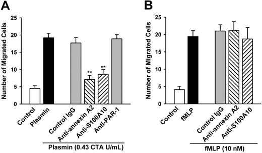Figure 3. The mAbs directed against annexin A2 and S100A10 inhibit the plasmin-induced monocyte chemotaxis. (A) Effects of mAbs on the plasmin-induced monocyte chemotaxis. (B) Effects of mAbs on the fMLP-induced monocyte chemotaxis. Monocytes, nontreated (control, plasmin, and fMLP) or pretreated for 20 minutes with either mouse IgG or anti-annexin A2, anti-S100A10 (each at 10 μg/mL), or anti-PAR1 (WEDE15, 50 μg/mL) antibodies. Monocytes were allowed to migrate across a polycarbonate membrane (pore size, 5 μm) toward 0.43 CTA U/mL plasmin or 10 nM fMLP for 90 minutes. Cells on the membranes were fixed, stained, and counted microscopically. Data are presented as number of migrated cells per high-power oil immersion field (× 1000). **P < .01 versus IgG control. Results are the mean ± SEM of 5 independent experiments each.