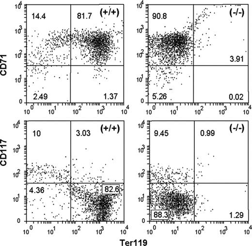 Figure 2. TER119 is absent in EKLF-null fetal liver. Representative dot plots of FACS-sorted E14.5 fetal liver cells from EKLF+/+ and EKLF-/- mice stained with TER119-PE and either CD71-FITC (transferrin receptor) or CD117-FITC (c-kit). The top and right quadrants represent positive stained cells. The percentage of cells in each quadrant is indicated.