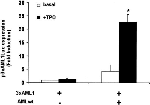 Figure 4. Transcriptional activation of AML1 by TPO. UT7-Mpl cells were transiently cotransfected with 400 ng pGL2-3 × AML1-TATALuc with or without 1μg pME18S-AML1wt. Cells were harvested after 20 hours of culture without (□) or with (▪) TPO, and luciferase assays were performed. Data represent mean ± SD of at least 3 independent experiments. *P < .05.