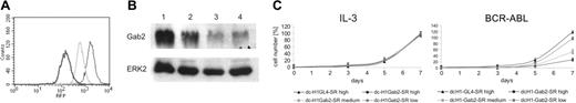 Figure 3. Gab2-dependent inhibition of BCR-ABL-mediated cell proliferation. (A) The histogram of RFP fluorescence from 3 independent TonB-Gab2 shRNA clones is shown with high (black line), medium (light gray line), and low (dark gray line) RFP fluorescence. (B) Cellular lysates from the 3 TonB-Gab2 shRNA clones were subjected to immunoblotting with anti-Gab2 and anti-ERK2 antibodies as loading control as indicated. (C) Number of trypan blue-negative TonB-Gab2 shRNA cells in the presence of IL-3 (left) or doxycycline in the absence of IL-3 (right). Triangles depict cell numbers of a control TonB-GL4 shRNA clone with high RFP expression, which was set to 100% on day 14.