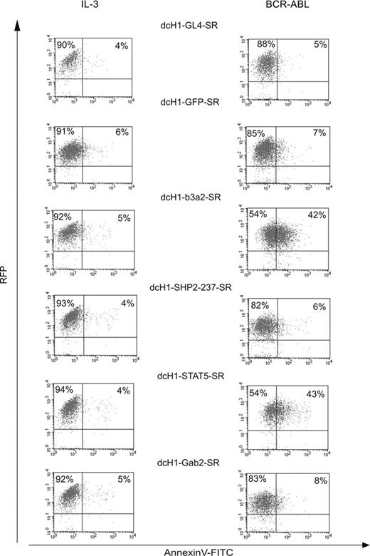 Figure 4. Effects of different cell culture conditions on TonB cells with reduced target gene expression. Lentivirally transduced RFP+ TonB cells were stained for annexin V expression either in the presence of IL-3 (left) or in the presence of doxycycline to induce BCR-ABL and in the absence of IL-3 (right) after 6 days. Dot blots show RFP fluorescence on the y-axis and annexin V-FITC staining on the x-axis.