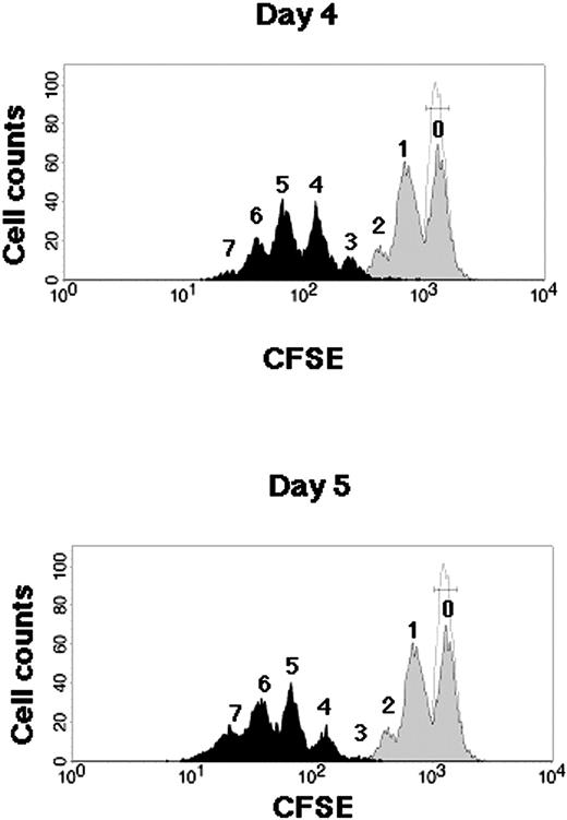 Figure 1. Kinetics of CB CD34+ cells during SFSD culture. Representative flow cytometric profiles of CFSE-labeled CB CD34+ cells. CB CD34+ cells were stained with CFSE and cultured in the SFSD system. The fluorescence intensity was analyzed at 2 days (gray histogram), 4 days (top, black histogram), and 5 days (bottom, black histogram) after culture. The number above each peak represents the number of divisions according to the fluorescence intensity. The relative frequencies of undivided cells were 51.24% ± 3.12% % at day 2, 0.09% ± 0.04% at day 4, and 0.04% ± 0.03% at day 5 (n = 3). The fluorescence intensity of the cells incubated with colcemid confirms the position of the cells that have not divided (dotted line).
