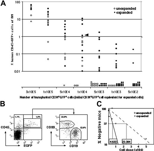 Figure 2. Comparison of the frequency of infected SRCs with and without SFSD culture. (A) The infected cells were divided into 2 groups consisting of the same number of cells (5 × 102, 1 × 103, 5 × 103, 1 × 104, 5 × 104, 1 × 105, 3 × 105 cells/mouse). One group was instantly transplanted (n = 41), and the other was cultured for 4 days in SFSD culture, and then transplanted into NOD/SCID mice (n = 75). At 10 weeks after transplantation, the mice were killed and the percentages of CD45+EGFP+ cells in the mouse bone marrow cells were determined by flow cytometry. The presence of cells was also confirmed by PCR using EGFP primers to rule out the false-positive results by flow cytometry (data not shown). (B) Representative FACS profiles. Data from mouse, indicated by the triangle in panel A, are shown. The numbers in the top left and right quadrants show the percentage of CD45+EGFP- and CD45+EGFP+ populations, respectively. Multilineage repopulation capacity of transduced SRCs was also examined. The numbers in the right panel show the percentage of CD33+ and CD19+ populations within CD45+EGFP+ cells from bone marrow. (C) The frequency of infected SRCs before and after culture. The number shown within each box indicates the calculated frequency of SRCs using L-Calc software (StemCell Technologies).