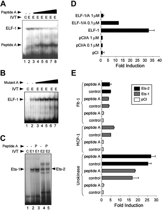 Figure 3. Effect of dominant-negative ETS domain peptide A on DNA binding and transactivation. (A) Gel mobility shift assay, demonstrating binding of in vitro–translated (IVT) ELF-1 (arrow) to oligonucleotide probe encoding the conserved ETS binding site in the Tie2 promoter (lane 2), compared with control extract (lane 1). The effect of increasing concentrations of peptide A (0.1, 0.5, 0.8, 1.0, 1.1, and 1.2 μm) upon the binding of ELF-1 to the DNA are shown (lanes 3-8). The binding of peptide A to the oligonucleotide probe is shown (arrow). (B) Competition of binding of ELF-1 to oligonucleotide probe with increasing concentrations of a mutant peptide. (C) Competition of binding of Ets-1 and Ets-2 to an Ets-1/Ets-2 consensus oligonucleotide probe with and without 1.2 μm peptide A1 (P), using in vitro–translated Ets-1 (E1), Ets-2 (E2), versus control (C) extracts. (D) Transactivation of the Tie2 promoter by ELF-1. Addition of 0.1- and 1-μM concentrations of peptide A leads to marked inhibition of transactivation. (E) Transactivation of the Flt-1, MCP-1, and urokinase promoters by ETS factors Ets-1 and Ets-2, or the empty mammalian expression plasmid (pCI; Promega, Madison, WI) in the presence or absence of 1 μM peptide A. Results represent mean ± SD. All experiments were performed 3 times in duplicate.