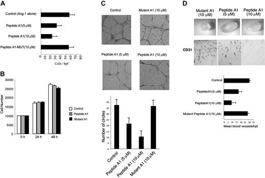 Figure 6. Effect of dominant-negative ELF-1 peptide on endothelial migration, tube formation, and in vivo angiogenesis. (A) Effect of peptide A1 on Ang-1–dependent endothelial migration compared with the mutant peptide (Mutant A1). The concentration of Ang-1 was 100 ng/mL (*P < .05 compared with control). (B) Effect of peptide A1 (10 μM) or mutant A1 (10 μM) on cell growth. (C) Endothelial tube formation on Matrigel supplemented with bFGF (20 ng/mL) at 8 hours and 24 hours in the presence of the mutant peptide A1 (10 μm) or peptide A1 (5, 10 μm) compared with no peptide (control). Quantitation of endothelial tube formation at 24 hours (*P < .05 compared with control). (D) Effect of peptide A1 and mutant peptide A1 on angiogenesis in vivo using the Matrigel plug assay (supplemented with bFGF; 80 ng/mL). The dissected Matrigel plug and accompanying immunostaining for CD31 (PECAM-1) are shown. Determination of vessel density within the Matrigel plug per high-power field (hpf) (*P < .05 compared with peptide A1). Data are presented as means ± SE.