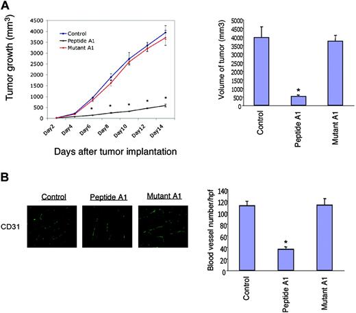 Figure 7. Effect of dominant-negative peptide on B16-F1 melanoma tumor growth. (A) B16 tumor cell growth (mm3) in nude mice (control), in the presence of peptide A1, or mutant peptide A1 over time using calipers (left panel). Tumors were excised at 14 days and tumor volume was determined (*P < .001 versus control). Values represent means ± SE; n = 6 in each group. (B) Immunofluorescence staining for CD31, in tumors grown as described in “Mouse tumor models,” and assessment of vessel density (*P < .001 compared with control).
