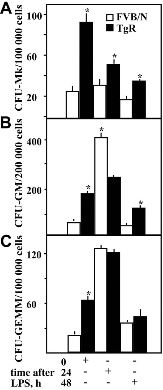Figure 4. Facilitated progenitor cells' potential in TgR mice. Committed colony-forming units of (A) megakaryocyte (CFU-Mk), (B) granulocytic/monocytic (CFU-GM), and (C) multipotential (CFU-GEMM) progenitors were quantified in a semisolid colony formation assay. Asterisks denote significantly different values. Assays were set up in triplicates from bone marrow preparations (4 mice per time point). Values represent mean ± SD. (+) indicates the time point where quantitation was performed. Asterisks denote significantly different values (P < .05, Student t test).