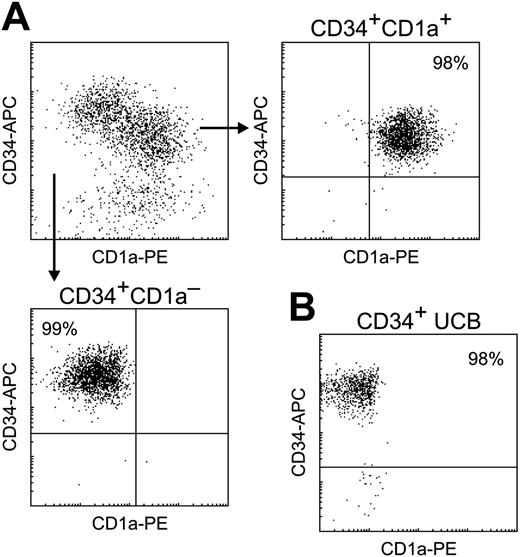 Figure 1. Purification of cell subsets. (A) Total CD34+ cells were isolated from human thymus using AutoMACS and subsequently FACS sorted into CD34+CD1a– (bottom) and CD34+CD1a+ (right) fractions. (B) CD34+ cells were isolated from human UCB using AutoMACS and FACS sorting. All populations were greater than 98% pure.