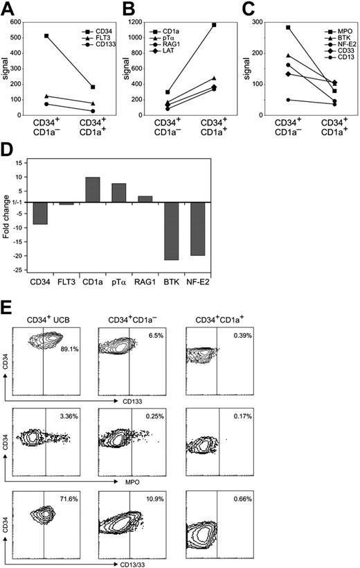 Figure 2. Gene expression of CD34+CD1a– and CD34+CD1a+ thymocytes. Expression levels (in arbitrary fluorescence units) of several genes were extracted from previously performed Affymetrix microarrays.13 (A) “Stem cell–like” genes, (B) T-cell–specific genes, (C) “non-T lineage” genes. (D) RQ-PCR validation: fold increase or decrease in expression between CD34+CD1a– and CD34+CD1a+ subsets. (E) Expression patterns of CD133, MPO, and CD13/CD33 were validated at the protein level using flow cytometry. CD34+ cells from thymus and UCB were purified using AutoMACS and gated for the indicated populations. Expression of CD13/33 in mature granulocytes was at least 10-fold higher than in CD34+ UCB cells.