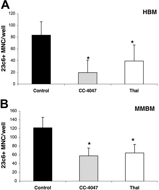 Figure 5. CC-4047 blocks development of osteoclasts at a very early time point of hematopoietic lineage commitment. Nonadherent cells from (A) HBM and (B) MMBM were cultured in methylcellulose culture containing 30% FCS and 100 pg/mL rh CSF-GM in the presence of 100 μM CC-4047, 100 μM thalidomide (Thal), or 0.1% DMSO. After 9 to 10 days, hematopoietic precursors were purified and used to set up an OCL formation assay as described in “Materials and methods.” During the 21-day culturing time, none of the drug was added to the culture. Each value is the mean plus or minus SD of mononucleated cells per well of at least 8 wells. Asterisks indicate a significant difference from control (P < .01). All experiments were performed independently twice.