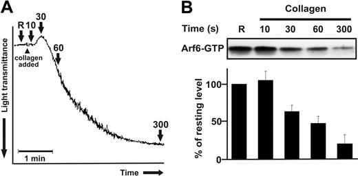 Figure 2. Arf6-GTP decreases upon collagen stimulation. Washed platelets (4 × 108/mL) were stimulated with 10 μg/mL collagen for the indicated times and lysed by adding 2 × HEPES-lysis buffer. After clarification, the supernatants were analyzed for Arf6-GTP. Arf6 was detected by Western blot using anti-Arf6 antibody and quantified using ImageQuant 5.2 (Molecular Dynamics, Sunnyvale, CA) software. (A) A standard collagen-induced aggregation curve is depicted and the points at which samples were taken are indicated with arrows. (B) The Western blot is representative of 5 independent experiments, and intensities of Arf6 were normalized to that of resting platelets. Error bars indicate SD.