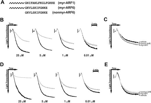 Figure 4. Myr-Arf6 peptide affects platelet aggregation. Washed platelets were incubated with DMSO (vehicle) or Arf peptides for 2 minutes with stirring at 37°C, followed by stimulation with 10 μg/mL collagen (B-C) or 0.1 μg/mL convulxin (D-E). (A) Sequences of the Arf peptides used. (B,D) Different doses of myr-Arf6 (gray line) were preincubated for 2 minutes prior to stimulation, and the aggregation traces were aligned with those from reactions containing an equal amount (1%) of DMSO (black line). (C,E) Myr-Arf1 (25 μM), nonmyr-Arf6 (25 μM), and DMSO were preincubated for 2 minutes prior to the stimulation.