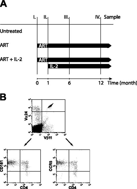 Figure 1. Study outline and NKT cell phenotyping. (A) Thirty-two subjects with primary HIV-1 infection were enrolled in 3 different treatment groups. Twenty-one subjects started ART; 10 went on additional IL-2 treatment once their HIV-1 RNA level was below 500 copies/mL. Eleven subjects remained untreated. Whole-blood samples were collected at month 0 (prior to ART treatment), month 1 (before initiation of IL-2), and at months 6 and 12 (after completion of 2 and 5 cycles of IL-2 treatment, respectively). Blood samples were drawn in all patient groups at the stated time points. (B) NKT cells identified by coexpression of Vα24 and Vβ11 express CD161 and CCR5 on both the CD4+ and CD4– subset.
