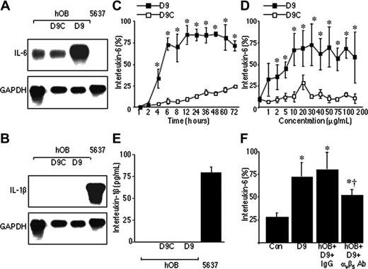 Figure 5. The disintegrin domain of ADAM-9 mediates interactions with the αvβ5 integrin and induces interleukin-6 production (hOB). (A) Northern blot analysis of IL-6 mRNA expression in hOBs incubated alone or in the presence of recombinantADAM-9 disintegrin domain (D9) or control protein (D9C). The 5637 cell line served as a negative control. Blots were reprobed with GAPDH to demonstrate equal loading between D9 and control protein. (B) Northern blot analysis of IL-1β mRNA expression in hOBs incubated alone or in the presence of recombinant D9 or D9C control protein. The 5637 cell line served as a positive control. (C) hOBs were incubated in the presence of recombinant D9 (10 μg/mL) or D9C, and IL-6 concentrations were measured by ELISA at the stated time points. (D) hOBs were incubated in the presence of increasing concentrations of recombinant D9, or control protein D9C, for 24 hours, and IL-6 concentrations were measured by ELISA. Data are the means of samples from a representative experiment (n = 4-8), and error bars are 95% CI. IL-6 production is shown as percentage of the mean + 95% CI of the maximum bar in the graph. *P < .001 compared with untreated cells by the Dunnett test. (E) hOBs were incubated alone or in the presence of recombinant D9 (10 μg/mL) or D9C for 24 hours, and IL-1β concentrations were determined by ELISA. The 5637 cells were cultured in the same way and served as a control. (F) hOBs were incubated alone (con) or in the presence of recombinant D9 with or without IgG or αvβ5-integrin antibody. IL-6 concentrations were determined by ELISA. *P < .01 compared with control; and †P < .01 compared with IgG (Mann-Whitney U test).