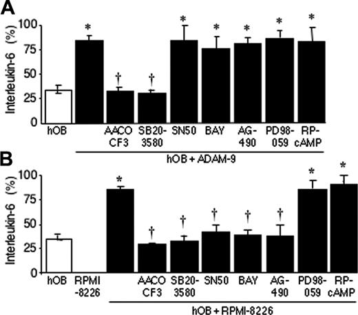 Figure 6. p38 MAP kinase and phospholipase A2 pathways are involved in ADAM-9–induced production of IL-6 by hOBs. hOBs were incubated in the presence or absence of inhibitors of p38 MAPK (SB-203580, 10 μM), MEK (PD-98059, 10 μM), cPLA2 (AACOCF3, 20 μM), cAMP (RP-cAMP, 10 μM), NF-κB (BAY 11-7082, 10 μM; and SN50, 10 μg/mL), or JAK2 (AG490 5 μM) for 30 minutes before addition of ADAM-9 (200 nM; A) or RPMI-8226 cells (5 × 105; B). The cells were incubated for a further 24 hours, and IL-6 concentrations were determined by ELISA. Data are the means of samples from a representative experiment (n = 4-8), and error bars are 95% CI. IL-6 production is shown as percentage of the mean + 95% CI of the maximum bar in the graph. A Mann-Whitney U test was used for the pair-wise comparisons. *P < .01 samples compared with respective untreated hOBs (□); †P < .01 samples compared with ADAM-9–treated hOBs (A) or hOBs cultured with RPMI-8226 cells (B).
