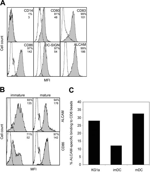 Figure 1. ALCAM is expressed by monocyte-derived DCs and mediates adhesion to CD6. (A) Characterization of mature DCs. DCs were stained with mAbs against costimulatory molecules and DC-specific molecules. Empty histograms represent isotype-matched controls; shaded histograms, antibody staining. Percentage of positive cells and mean fluorescence intensity (MFI) values are indicated in the top right corner of each subpanel. (B) ALCAM expression is not altered upon maturation of DCs. Immature DCs (left) were stimulated with LPS (2 μg/mL) for 2 days to obtain mature DCs (right). Open histograms represent isotype-matched controls; shaded histograms, antibody staining. Percentage of positive cells and MFI values are indicated in the top right corner of each subpanel. (C) DCs adhere to CD6-Fc–coated microbeads. Immature DCs, mature DCs, and control myelomonocytic KG1a cells were allowed to adhere to CD6-Fc–coated fluorescent beads after preincubation with or without mAb J4-81 (anti-ALCAM) for 45 minutes at 37°C and were analyzed by flow cytometry. ALCAM-specific adhesion is expressed as the adhesion percentage after subtraction of adhesion in the presence of mAb J4-81. One representative experiment of 3 is shown.