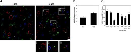 Figure 4. ALCAM-CD6 interactions are important in the formation of DC–T-cell contacts. (A) Mature monocyte-derived DCs, preincubated with (right panel) or without (left panel) 1 μg/mL SEB, were incubated with PBLs of an unrelated donor in a 1:10 ratio for 15 minutes at 37°C, allowing for DC–T-cell cluster formation. After mounting on poly(l)lysine–coated slides DCs were stained for ALCAM (red), and PBLs were stained for CD6 (green) and LFA-1 (blue). Arrows indicate DC–T-cell conjugates. Magnifications of 3 mature DC–T-cell contacts are shown (subpanels i-iii). Scale bar represents 10 μm. (B) The number of DC–T-cell contacts in the presence or absence of SEB was determined by counting 20 randomly selected microscopic fields. At least 100 DCs per condition were analyzed. The percentage of DC–T-cell conjugates per total number of DCs is calculated. Mean ± SEM of 6 independent experiments is shown. (C) Prior to mixing, DCs (SEB-preincubated) and PBLs were incubated with 20 μg/mL antibody against LFA-1 (L15), ALCAM (AZN-L50 and/or J4-81), anti-CD6, or control mouse IgG for 30 minutes on ice. Antibodies remained present during conjugate formation. The percentage of conjugates was calculated as described for panel B. Mean ± SEM of 6 independent experiments is shown. *Statistically significant differences (Student t test, P < .05).