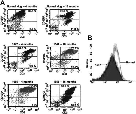 Figure 4. CD45RA and γc expression in treated dogs are reconstituted compared with normal controls. (A) Flow cytometric evaluation of CD45RA expression in CD3+ T lymphocytes in a normal dog (top 2 panels) and in both in vivo gene therapy–treated dogs 1547 and 1655 at 4 months (left) and at 16 months (right) of age. Naive T lymphocytes are denoted by presence of CD45RA+ (top right quadrants). (B) Overlay of γc expression in peripheral blood lymphocytes from dog 1547 with γc expression in an age-matched normal dog.