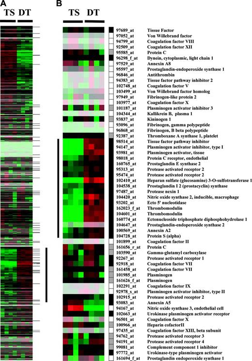 Figure 1. Cluster display of expression data from TS and DT cells. Entire data set from MGU74Av2 chips (A) or hemostasis related probe sets (B) is represented. Rows represent data for each probe set; columns represent experiments. Expression values are normalized to the median of all measurements for a probe set. Below median value are colored green (down-regulated); above median value are colored red (up-regulated); median values (unchanged) are colored black. Lighter colors reflect probe sets with lower median expression values. Black, white, and gray boxes represent present, absent, and marginal expression status of probe sets in DT cells. The vertical bar in panel A indicates a cluster of genes up-regulated during trophoblast differentiation. This cluster contains 16 hemostasis-related genes highlighted by the vertical bar in panel B. Horizontal marks to the right of panel A indicate the position of hemostasis-related genes.