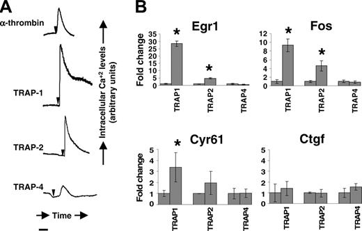 Figure 4. Protease-activated receptor activity in mouse trophoblast cells. Panel A shows real-time changes in intracellular calcium levels in response to thrombin (10 nM), peptide agonists for PAR1 (TRAP1, 100 μM), PAR2 (TRAP2, 100 μM), and PAR4 (TRAP4; 100 uM) in DT cells. Arrows indicate time of addition of the agonist. Bar represents 100 seconds. No change in intracellular calcium level was observed with scrambled peptides. Panel B shows Egr1, Fos, Cyr61, and Ctgf mRNA induction in mouse trophoblast cells determined by real-time PCR analysis of DT cells stimulated with TRAP1, TRAP2, or TRAP4 for 45 minutes. Transcript abundance was normalized to GAPDH and expressed as fold change over average abundance in unstimulated cells. *Statistically significant (P < .05) fold changes.