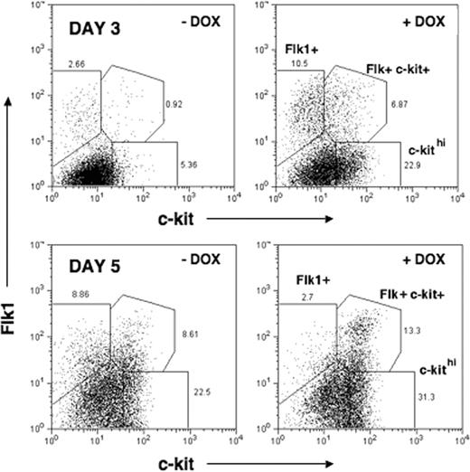 Figure 5. Formation of Flk1+ and c-kit+ cell populations is accelerated and enhanced in response to mMix. FACS analysis of cell surface Flk1 and c-kit protein expression in i-Mix EBs cultured in the presence or absence of DOX for 3 or 5 days (DOX added on day 1). Single-cell suspensions were labeled with anti-Flk1 and –c-kit sera and analyzed by FACS. Parental (wild-type) ES and uninduced (–DOX) i-Mix cells produced comparable numbers of Flk+, c-kithi, and Flk+ckit+ double-positive cells (not shown). This experiment was repeated 3 times with similar results.