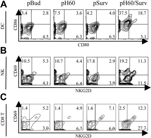 Figure 1. Activation of DCs, NK cells, and T cells in Peyer patches after vaccination. Mice were killed 1 day after vaccination. Lymphocytes isolated from Peyer patches were analyzed by flow cytometry. (A) Contour plots of CD80 and CD86 expression on DCs (CD11c+I-A/I-E+). (B) Contour plots of CD69 and NKG2D expression by NK cells (CD3-DX5+). (C) Contour plots of CD69 and NKG2D expression by CD8+ T cells (CD3+CD8+). Vectors used for vaccination are shown at the top of panel A. Experiments were repeated 3 times with similar results.
