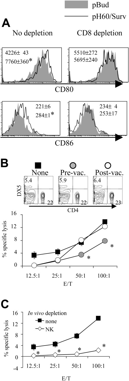 Figure 2. Depletion of CD8 T cells during priming results in reduced DC activation and NK cell activity. (A) Lymphocytes were isolated from Peyer patches as described in Figure 1 and were analyzed on the CD11c+I-A/I-E+ population. Shaded areas indicate pBud control mice. Their average mean fluorescence intensity (MFI) and SD are shown as the gray numbers, and pH60/Surv-vaccinated mice are represented by the black line and black number. (Left) No CD8 depletion. (Right) CD8 depletion. Numbers indicate average of MFI and SD of 2 samples within the group in the same experiment. All overlay histograms are presented as percentage of maximum on the y-axis. *P < .01 compared with the pBud control group. (B) Mice vaccinated with pH60/Surv were either undepleted (none, ▪) or depleted of CD8 T cells starting 1 day before the first vaccination (prevaccination, ) or 3 days after the second vaccination (postvaccination, ○). Mice were killed 2 weeks after the second vaccination. Freshly isolated splenocytes were used in a standard 51Cr-release assay against Yac-1 NK target cells. *P < .01 compared with nondepletion or postvaccination depletion groups. (Top panels) DX5 and CD4 distribution among splenocytes from undepleted or CD8-depleted mice. (C) Splenocytes freshly isolated from vaccinated mice were either undepleted (▪) or depleted of NK cells (⋄) and used in a standard 51Cr-release assay against Yac-1 cells. *P < .01 compared with the nondepletion group. All experiments were repeated at least once and yielded similar results.