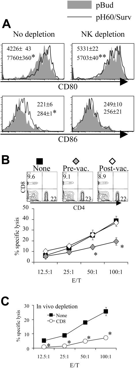 Figure 3. Depletion of NK cells during priming results in reduced DC activation and CTL activity. Mice were treated as described in Figure 2, except that NK cell depletion was performed as described in “Materials and methods.” (A) Histograms of CD80 and CD86 distribution of CD11c+ I-A/I-E + cells isolated from Peyer patches with (right panels) or without (left panels) NK cell depletion. *P < .01 compared with the pBud control group; **P < .05 compared with the pBud control group depleted of NK cells. (B) Mice vaccinated with pH60/Surv were not depleted (▪) or were depleted of NK cells before vaccination (♦) or after vaccination (⋄). Splenocytes were stimulated in vitro with irradiated CT-26 colon carcinoma cells for 5 days and were used in a standard 51Cr-release assay against these tumor cells. *P < .05 compared with nondepletion or postvaccination depletion groups. (Top panels) Distribution of CD4 and CD8 T cells obtained from undepleted or NK-cell depleted mice. (C) In vitro-stimulated splenocytes isolated from vaccinated mice either not depleted (▪)or depleted (○) of CD8 cells and used in a 51Cr release assay against CT-26 target cells. *P < .01 compared with the nondepletion group. All experiments were repeated at least once and yielded similar results.