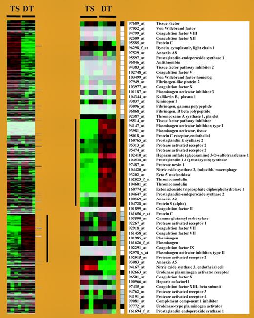 Cluster display of expression data from TS and DT cells. See the complete figure in the article beginning on page 3173.