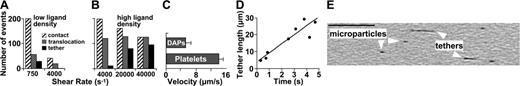 Figure 2. Kinetics of tether formation. (A-B) Washed blood-cell suspension (platelet count, 11 000/μL) perfused over immobilized dVWFA1 coated at low (A) or high (B) density (coating solution 1 or 20 μg/mL, respectively). Wall shear rates as shown. “Contact” indicates platelets interacting with the surface for at least 0.033 second; “translocation” specifies platelets moving on the surface by a distance more than 1 cell diameter in 2 seconds at lower than free-flow velocity; “tether” denotes platelets forming tethered DAPs. (C) Translocation velocity of platelets and their respective tethered DAPs. (D) Kinetics of tether formation at high dVWFA1 density and γw of 40 000 s–1. (E) Washed blood-cell suspension with reduced platelet count (11 000 platelets/μL) perfused over dVWFA1 at γw of 40 000 s–1. Isolated microparticles and tethers detached from platelets are seen while translocating on the surface. Scale bar = 5 μm. See Movie S7.